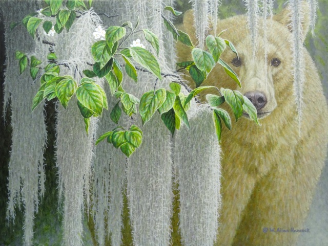 New works by Allan Hancock including "Sanctuary - Spirit Bear" now at the Birthplace of B.C. Gallery